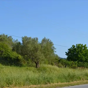 Земельный участок в Kassandra Municipality, фото 5