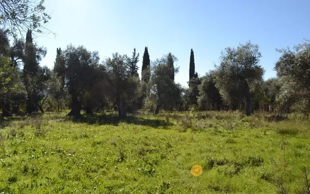 Земельный участок в Corfu