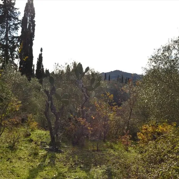 Земельный участок в Corfu, фото 1