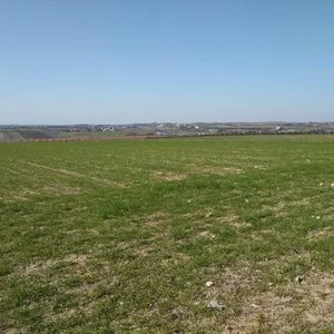 Земельный участок в Микра, фото 4
