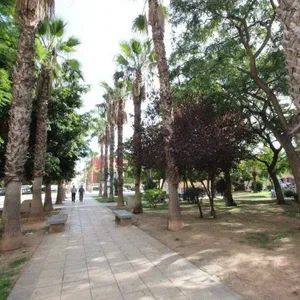 Квартира в Торревьеха, фото 3