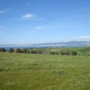 Земельный участок в Термайкос, фото 3