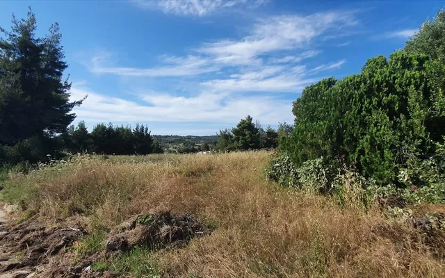 Земельный участок в Kassandra Municipality