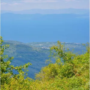 Земельный участок в Загора, фото 5