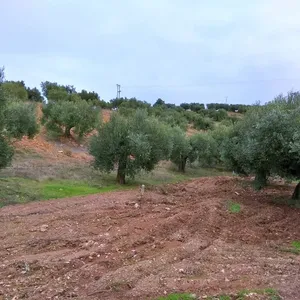 Земельный участок в Ситониа, фото 2