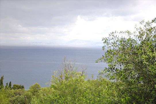 Земельный участок в Корфу