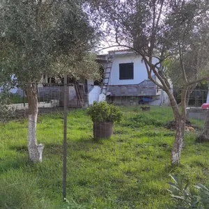 Отдельный дом в Kassandra Municipality, фото 3