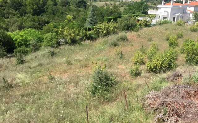 Земельный участок в Панорама