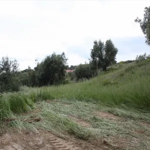 Земельный участок в Kassandra Municipality, фото 4