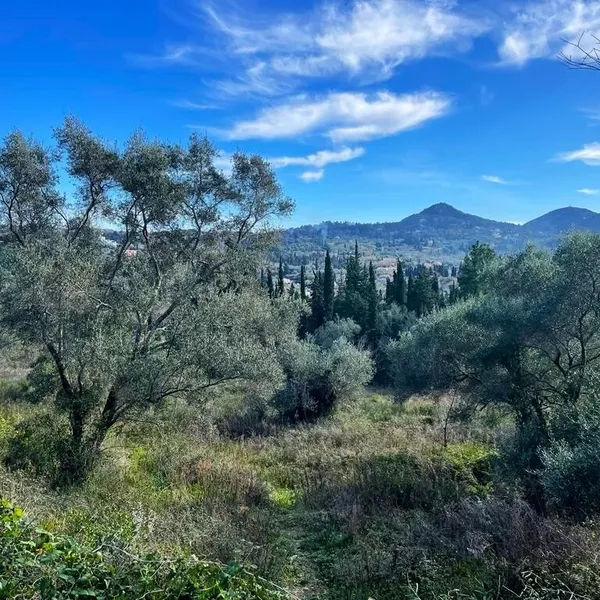 Земельный участок в Corfu, фото 1