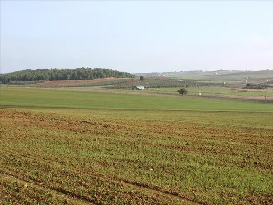 Земельный участок в Kassandra Municipality