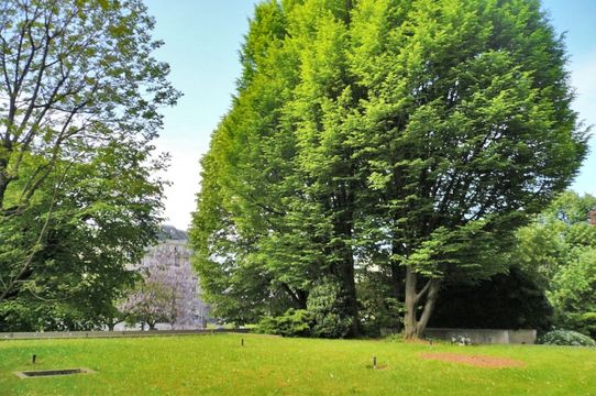 Вилла в Париж