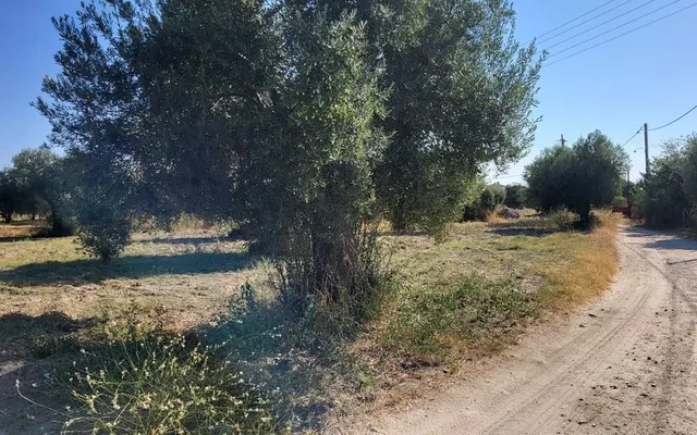 Земельный участок в Kassandra Municipality