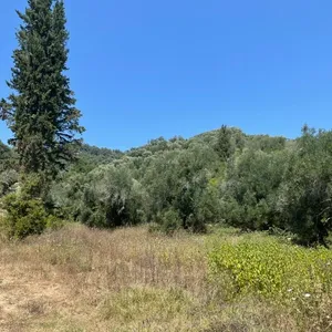Земельный участок в Corfu, фото 4