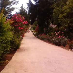 Отдельный дом в Кемер, фото 4