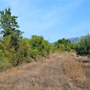 Земельный участок в Corfu, фото 5