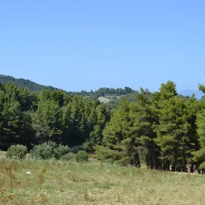 Земельный участок в Kassandra Municipality, фото 3