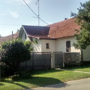 Ферма в Питомача, фото 2