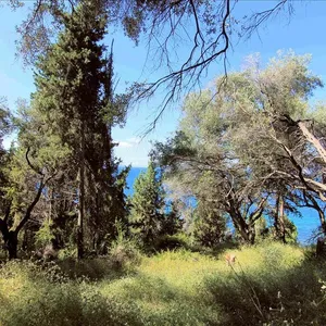 Земельный участок в Corfu, фото 4