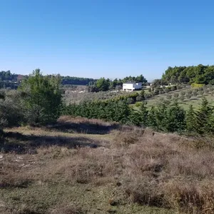 Отдельный дом в Kassandra Municipality, фото 4