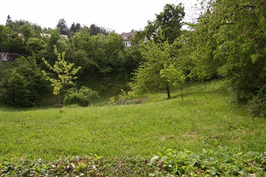 Земельный участок в Врхника