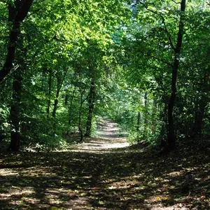 Квартира в Прага, фото 3