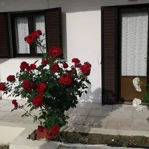 Отель в Ситониа, фото 4