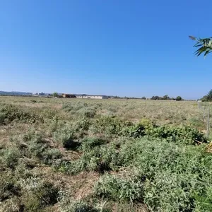 Земельный участок в Терми, фото 4