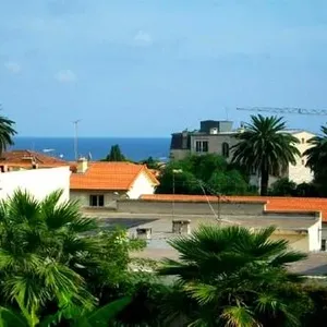 Квартира в Beaulieu-sur-Mer, фото 3