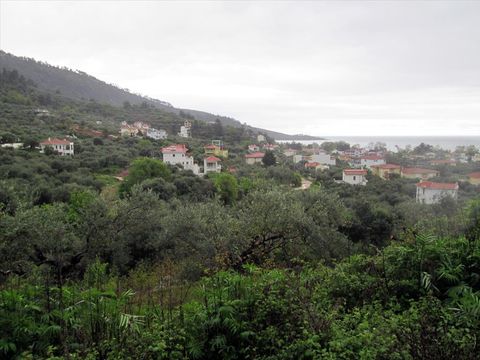 Земельный участок в Тасос