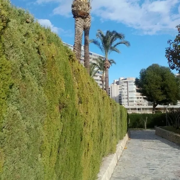Квартира в Аликанте, фото 1
