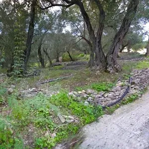 Земельный участок в Paxoi, фото 4