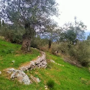 Земельный участок в Corfu, фото 3