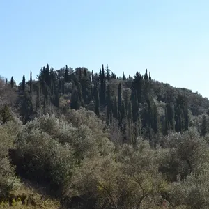 Земельный участок в Corfu, фото 3