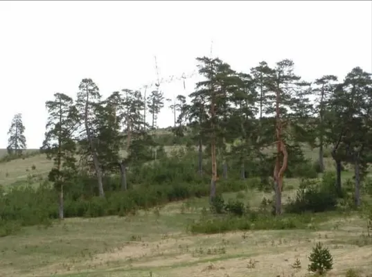 Земельный участок в Златибор