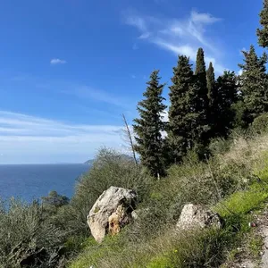Земельный участок в Corfu, фото 3