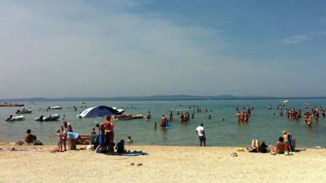 Земельный участок в Вир