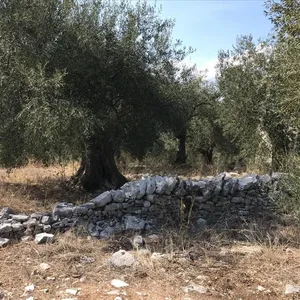 Земельный участок в Corfu, фото 4