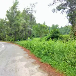 Земельный участок в Kassandra Municipality, фото 3