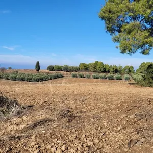 Земельный участок в Kassandra Municipality, фото 2