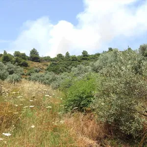 Земельный участок в Aristotle University of Thessaloniki, фото 4