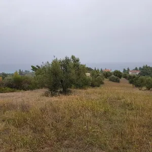 Земельный участок в Македония и Фракия, фото 2