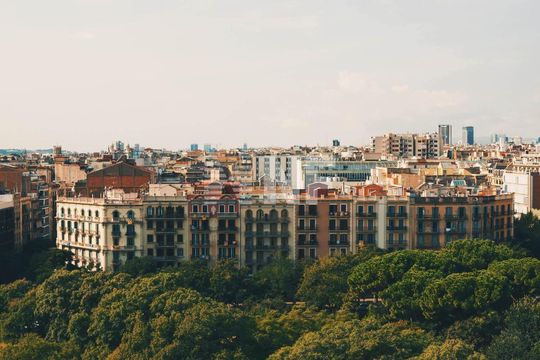 Магазин в Каталония