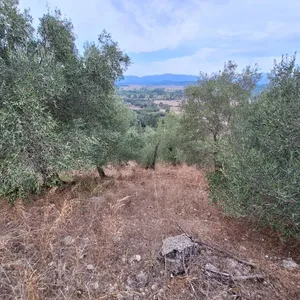 Земельный участок в Corfu, фото 2