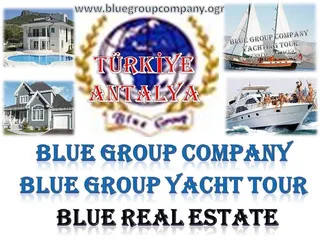 BLUE GROUP COMPANY