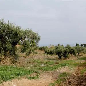 Земельный участок в Kassandra Municipality, фото 4