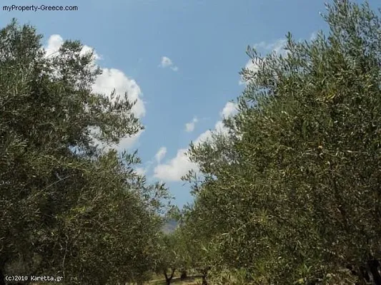 Земельный участок в Музаки