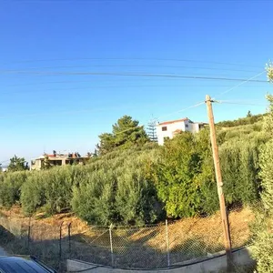 Земельный участок в Теменос, фото 2