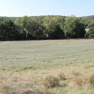Земельный участок в Kassandra Municipality, фото 3