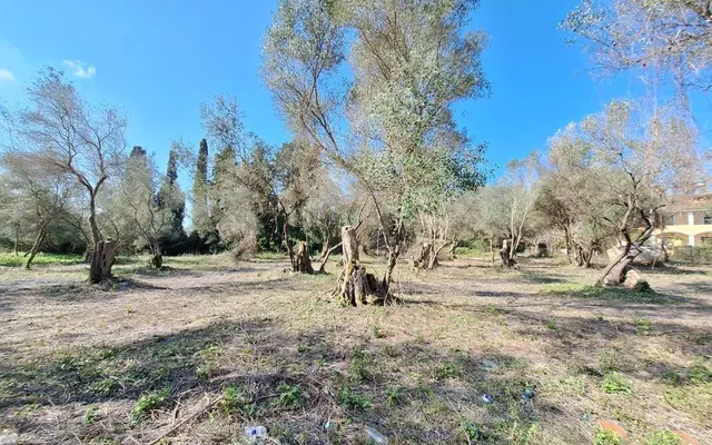 Земельный участок в Corfu